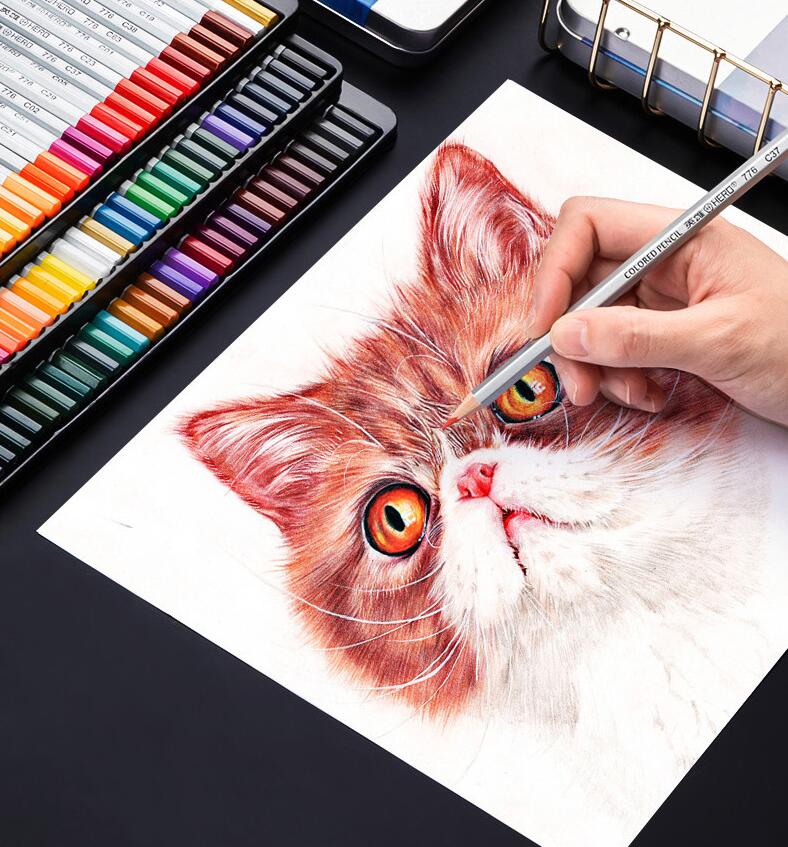 Water-Soluble Oil-Based Color Pencil Drawing Set