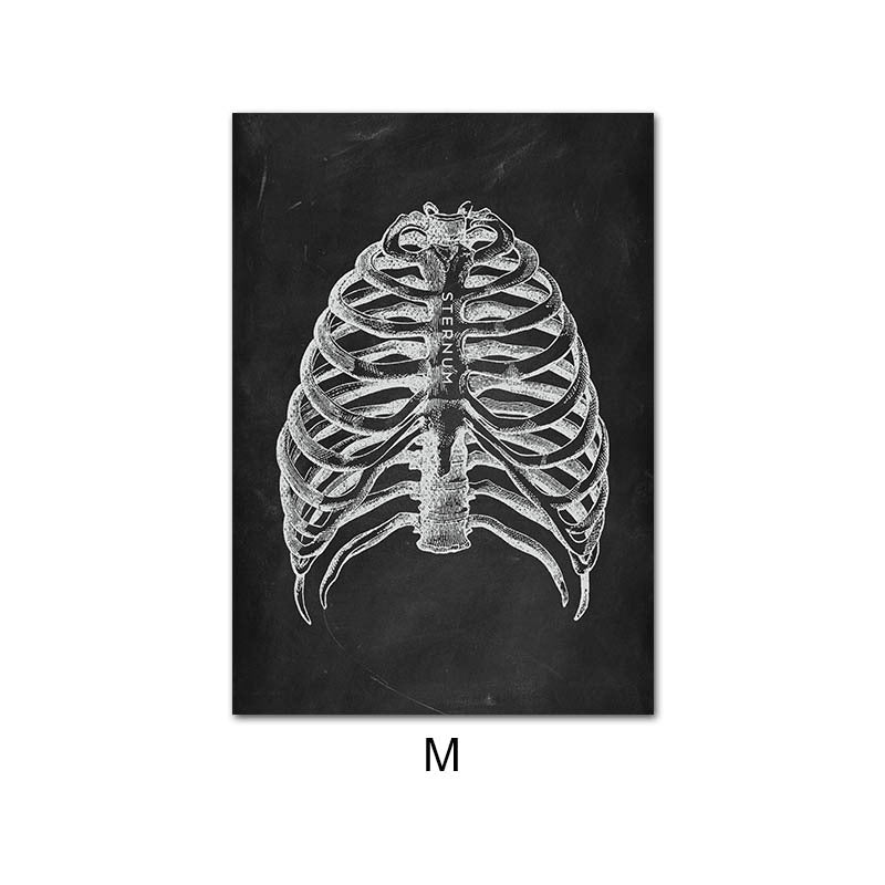 Canvas Painting Of Human Anatomy Skeleton Organ System