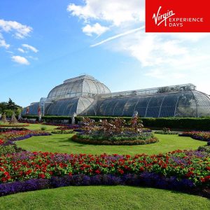 Virgin Experience Days Visit to Kew Gardens with Cream Tea for Two