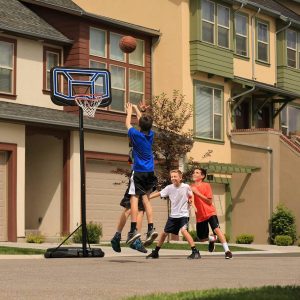 Lifetime 44 Inch (111cm) Portable Basketball Hoop