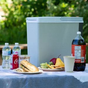 Koolatron 12V Electric Cooler 17L, Cool/Warm Box with Adjustable Strap in Grey