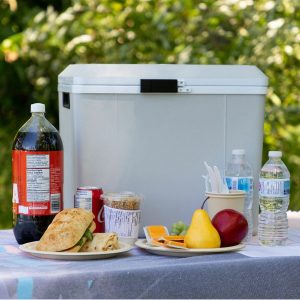 Koolatron 12V Electric Cooler 27L, Cool/Warm Box with Adjustable Strap in Grey